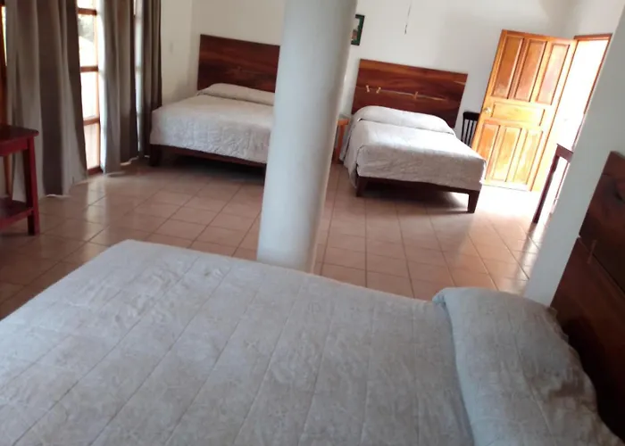 Hotel La Casa De Las Cocadas