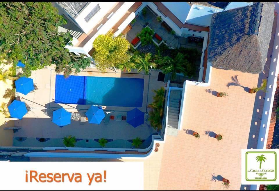 La Casa De Cocadas 2*